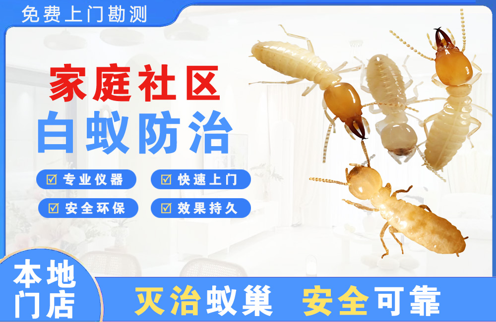 深圳家庭社区白蚁防治