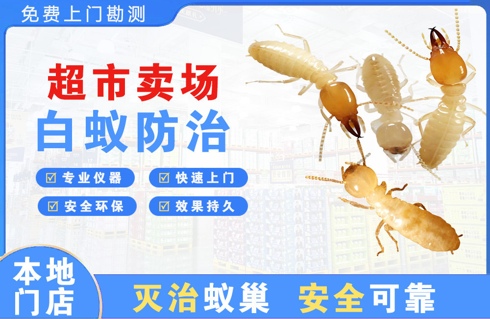 深圳超市卖场白蚁防治