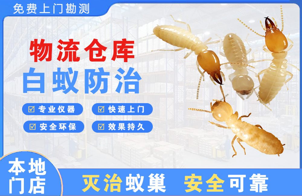 深圳物流仓库白蚁防治