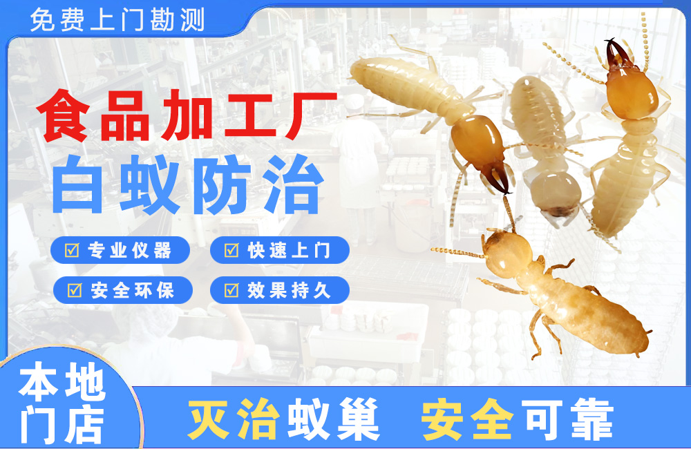 深圳食品加工厂白蚁防治