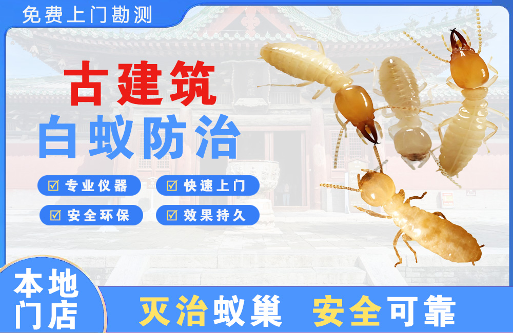 深圳古建筑白蚁防治