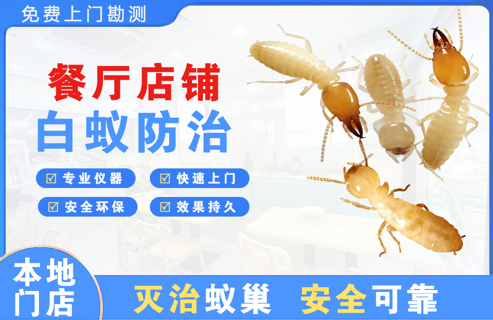 深圳餐厅店铺白蚁防治